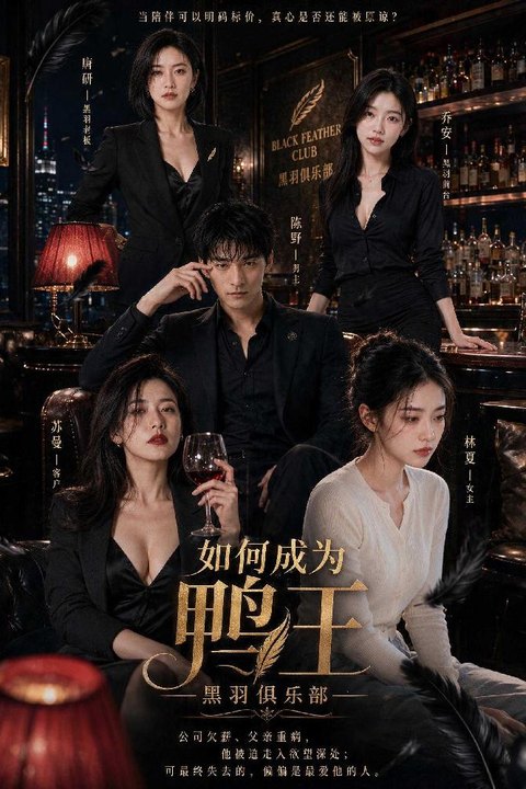 如何成为鸭王 夜场公关都市逆袭在线观看海报